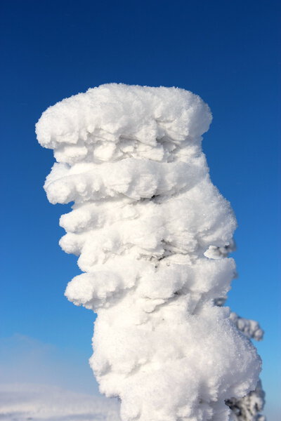 World under the snow.