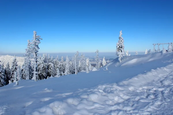 Wereld onder de sneeuw. — Stockfoto