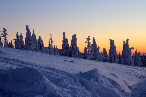 Mundo sob a neve ao pôr do sol. — Fotografia de Stock