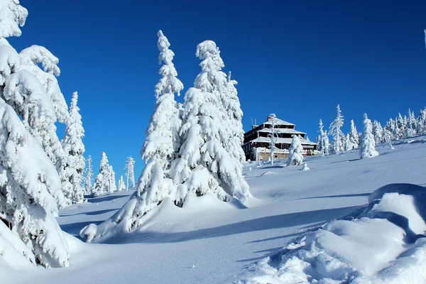 겨울 의산 풍경. — 스톡 사진