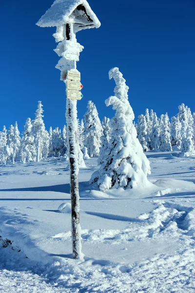 Dünya kar altında.