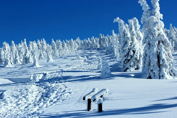 Ορεινό τοπίο το χειμώνα. — Φωτογραφία Αρχείου