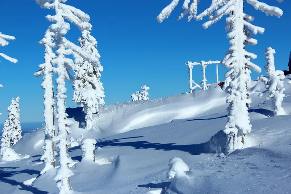Гірський пейзаж взимку . — стокове фото