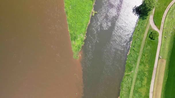 Luftaufnahme Einer Flussmndung Der Zwei Unterschiedliche Wasserfarben Zusammenfliessen — Stok video