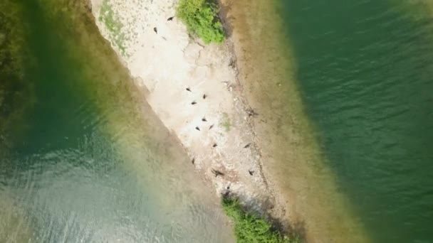 Flug Ueber Inselgruppe See Auf Der Voegel Leben Und Brueten — ストック動画
