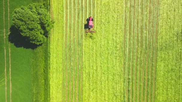 Tractor Drives Freshly Mown Field Agricultural Equipment — Stock Video