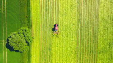 Tarlayı kazan traktörün arkasında uçmak.
