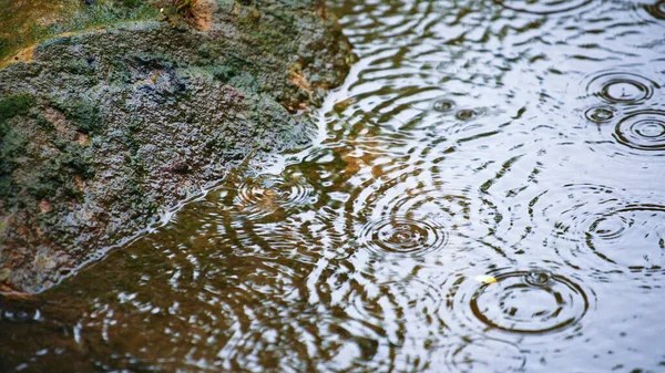 Niektóre Krople Deszczu Spadające Wody Pobliżu Kamienia — Zdjęcie stockowe