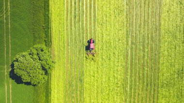 Bir traktör tarlayı kazıyor..
