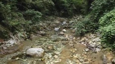 Bir yaz gününde nehir yatağında uçmak
