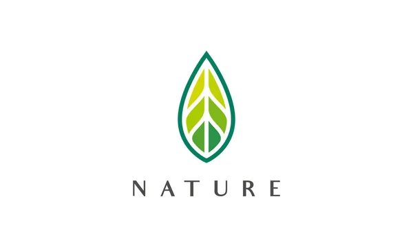 Soyut Modern Tarzda Basit Yeşil Yaprak Logosu — Stok Vektör