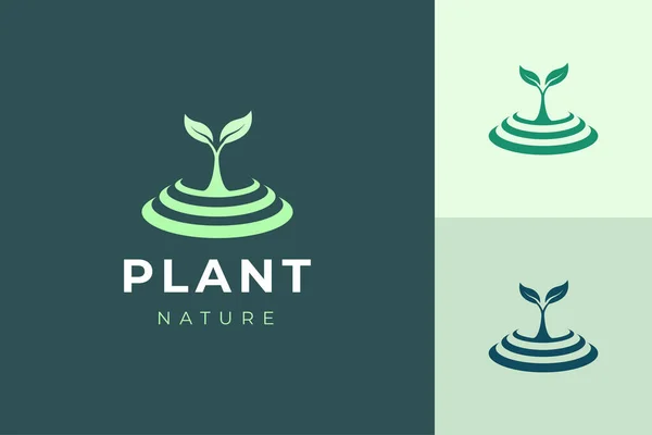 Plantilla Logotipo Orgánico Natural Con Forma Planta Simple Limpia — Vector de stock