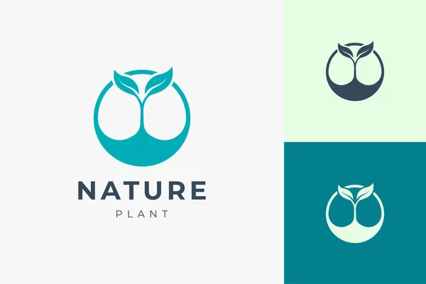 Organik Veya Tarım Için Temiz Basit Bitki Logosu Şablonu — Stok Vektör