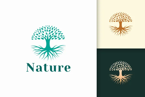 Logo Arbre Cercle Avec Racine Couleur Verte Forme Moderne Graphismes Vectoriels