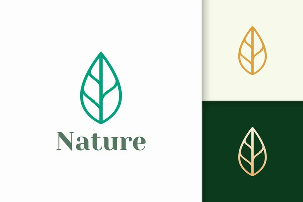 Logotipo Hoja Forma Línea Simple Para Marca Belleza Salud — Archivo Imágenes Vectoriales