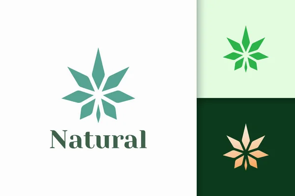 Cannabis Marijuana Logo Simple Modern Drug Herbal — Stock Vector