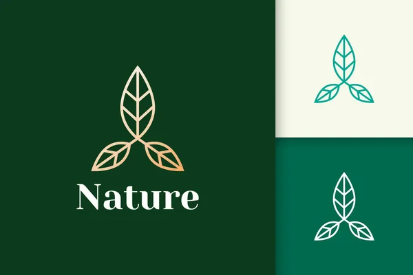 Logotipo Flor Forma Linha Feminina Luxo Para Saúde Beleza — Vetor de Stock