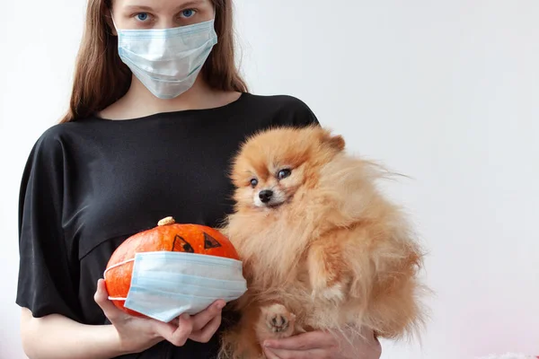Siyah elbiseli ve tıbbi maskeli güzel bir kız tıbbi maskeli bir balkabağı ve Pomeranya turuncu renkli küçük bir köpek tutuyor. Güvenli Cadılar Bayramı konsepti.