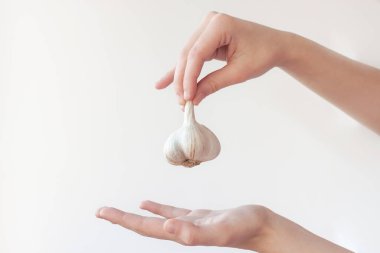 Bir elin sarımsağı diğer elin üstünde tutuyor. Sarımsak ve sağlıklı beslenme kavramı.