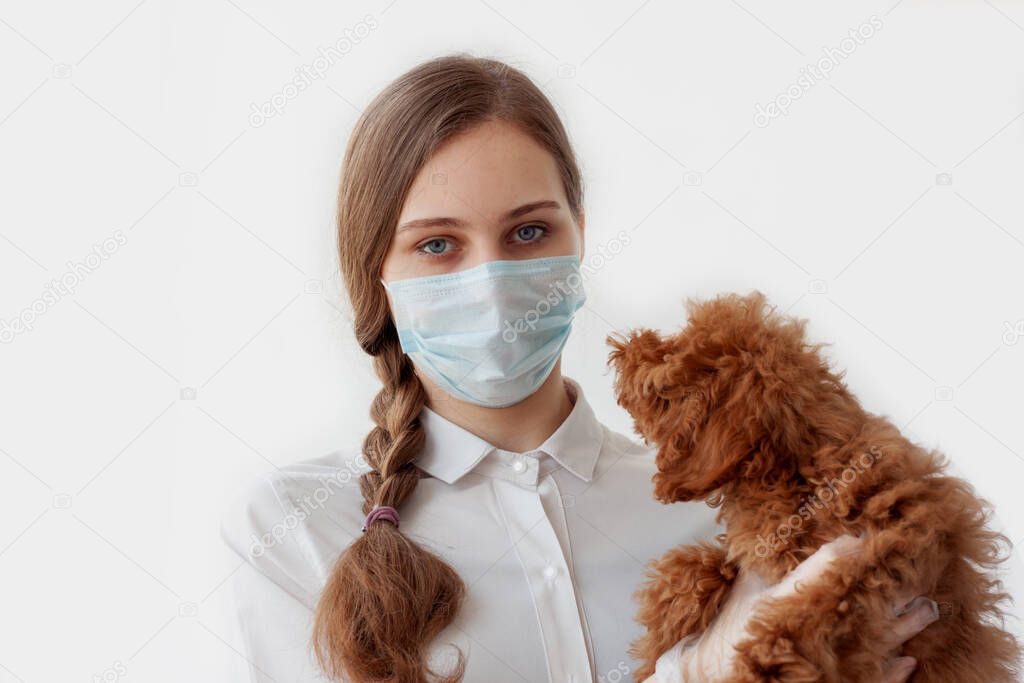 A veterinarian girl with a scythe, wearing a medical mask and rubber gloves, holds a red brown toy poodle in her arms. Animal care, veterinary care.