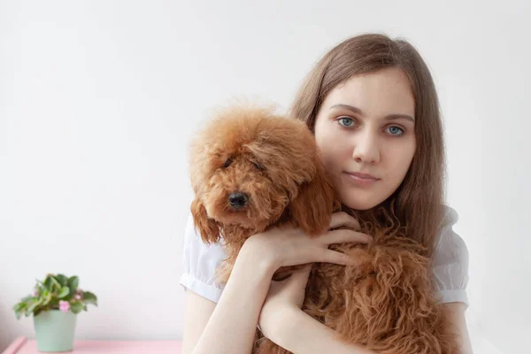 A girl with blue eyes and brown hair holds a miniature shaggy poodle red brown in her arms and hugs her.