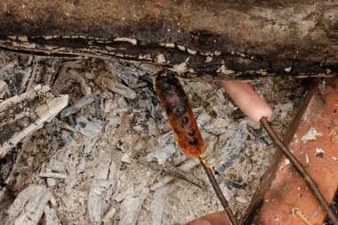 Ormanda ateşte kızarmış sosis. Dal üzerinde sosisler.