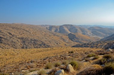 Wadi Kelt ya da Nahal Prat, İsrail 'in Yahudi Çölü' nde. Sonbaharın başlarında doğa koruma alanında. Seçici odak.