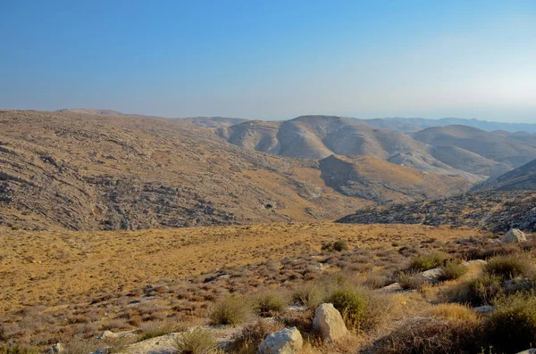 Wadi Kelt ya da Nahal Prat, İsrail 'in Yahudi Çölü' nde. Sonbaharın başlarında doğa koruma alanında. Seçici odak.