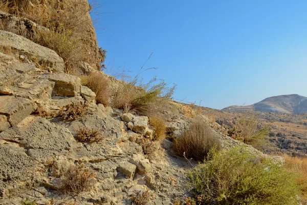 Wadi Kelt ή Nahal Prat, στην έρημο της Ιουδαίας, στο Ισραήλ. Νωρίς το φθινόπωρο σε ένα φυσικό καταφύγιο. Επιλεκτική εστίαση. — Φωτογραφία Αρχείου