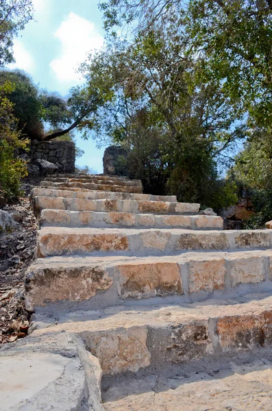 Old Stone Staircase Leads Green Trees Clear Blue Sky Concept — Stock Photo, Image