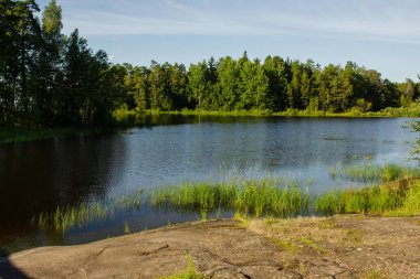 Orman gölü güneşli bir günde, su hafif dalgalar ve mavi gökyüzü