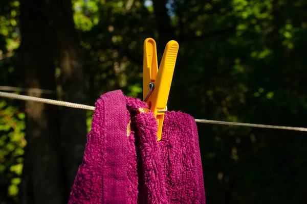 Pinzas Ropa Amarillas Sostienen Toalla Púrpura Lavada Línea Concepto Tarea — Foto de Stock