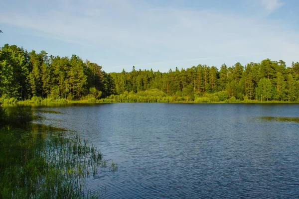 Prachtig Landschap Van Een Rustig Meer Een Zomerse Dag Tussen — Stockfoto