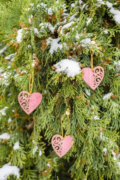 Дерев Яні Рожеві Серця Зеленій Гілці Туї Взимку Білий Сніг — стокове фото