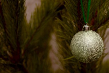 Yılbaşı süslemeleri köknar dalları. Noel tatili kavramı