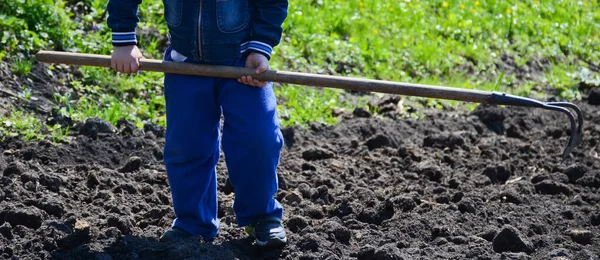 Child Helps Garden Worker Rake His Hands Little Boy Gardening — Φωτογραφία Αρχείου