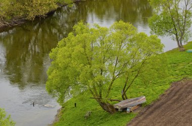 Nehir kenarındaki yeşil ağaç, taze yapraklar. Kapının yanında eski metal bir tekne ve bank var. Kırsalda sarı çiçekli genç otlar