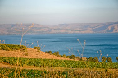 Celile Denizi 'nin manzarası - Celile Denizi. Mavi su, temiz ve yeşil alanlar, uzaktaki dağlar. Seçici odak.