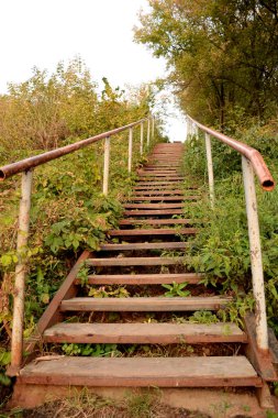 Ağaçlardan ve otlardan oluşan çalılıklarda demir parmaklıklar olan eski ahşap merdivenler..