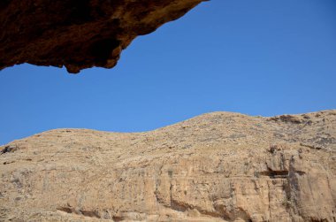 Wadi Kelt ya da Nahal Prat, İsrail 'in Yahudi Çölü' nde. Sonbaharın başlarında doğa koruma alanında. Seçici odak.