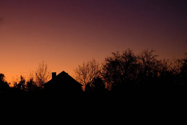 Silhouette Noire Arbres Maisons Village Aube — Photo