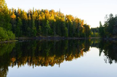Ladoga Gölü kıyısındaki Karelian ormanının üzerinde güzel bir günbatımı. Güneş çam ağaçlarının tepelerini sarıya boyadı. Sakin sudaki ağaçların yansıması.