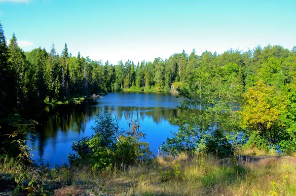 Lake Karelian Forest Clear Sunny Day Goluboyev Sky Yellowing Trees — Stock Photo, Image