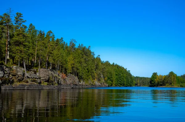 Blue River Blue Clear Sky Shores Green Pine Forest Yellow — Stock Photo, Image