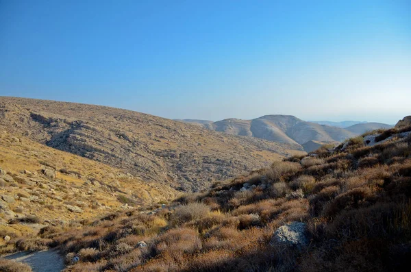 Wadi Kelt Nahal Prat Desierto Judea Israel Reserva Natural Día — Foto de Stock