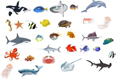 Bir sürü deniz yaratığı. farklı türde deniz hayvanları