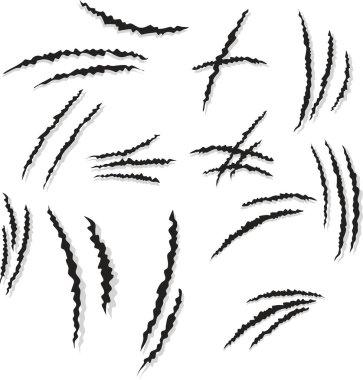 Bir set Paw çiziği. Pençeler hayvan tırmalıyor.