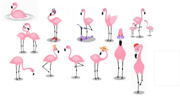 Flamingo. Flamencos rosados tropicales y aves exóticas conjunto de pajaritos de moda aislados sobre fondo blanco. — Archivo Imágenes Vectoriales