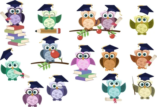 Ensemble de chouette de graduation. Hibou de retour à l'école — Image vectorielle