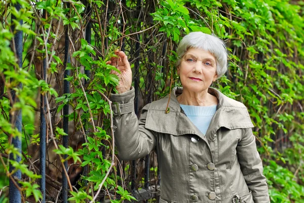 Charming elderly woman senior in a park with foliage — Stok fotoğraf